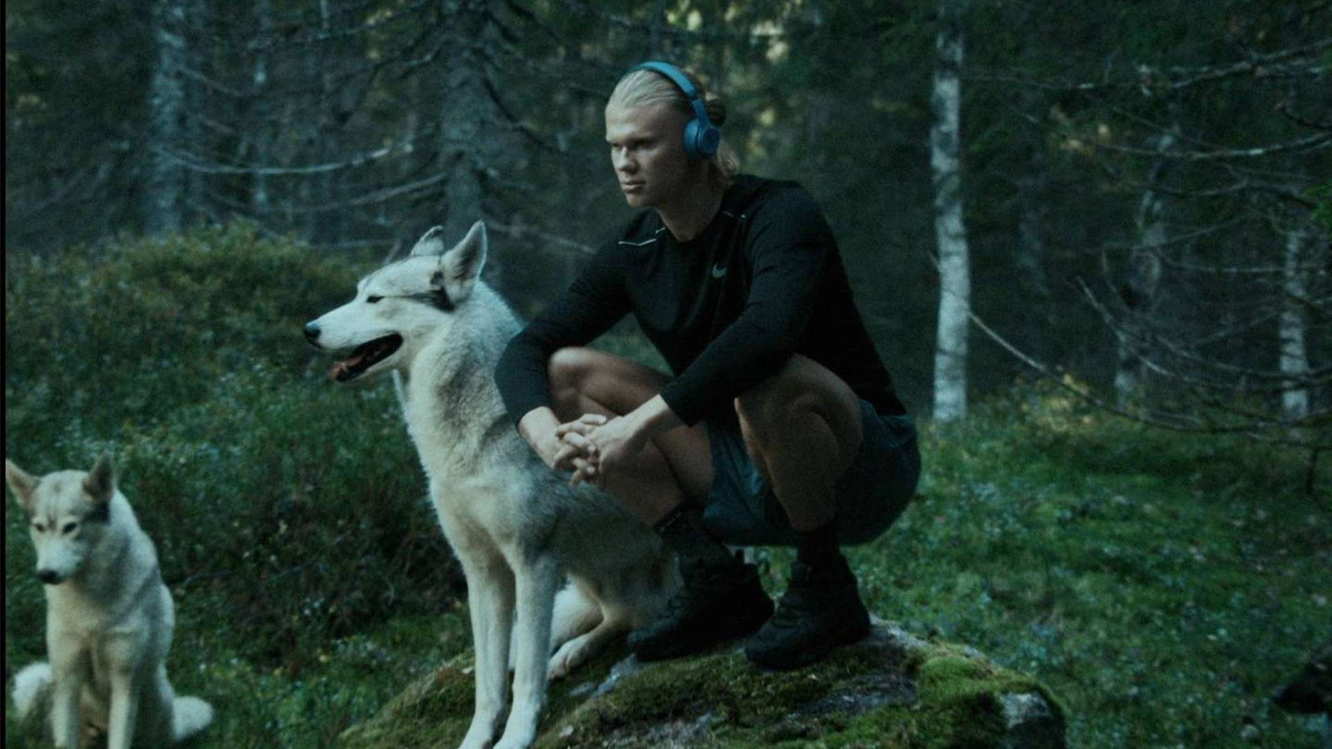 更值得关注 更值得关注