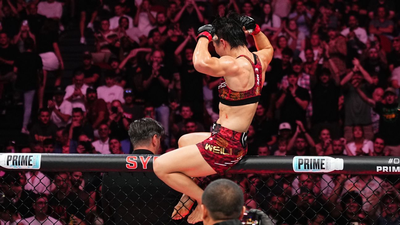 出国留洋的 出国留洋的