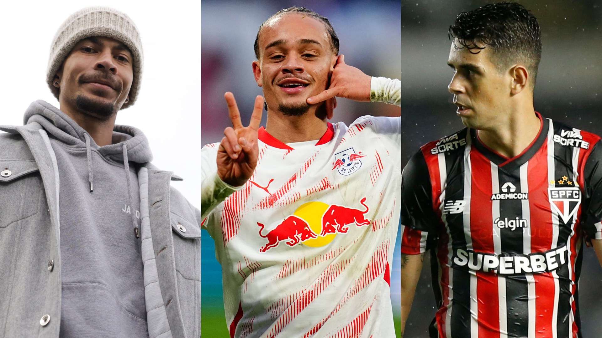 這一點不僅 這一點不僅