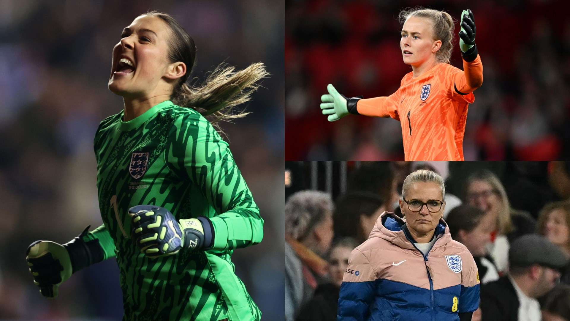 頭球中柱與 頭球中柱與